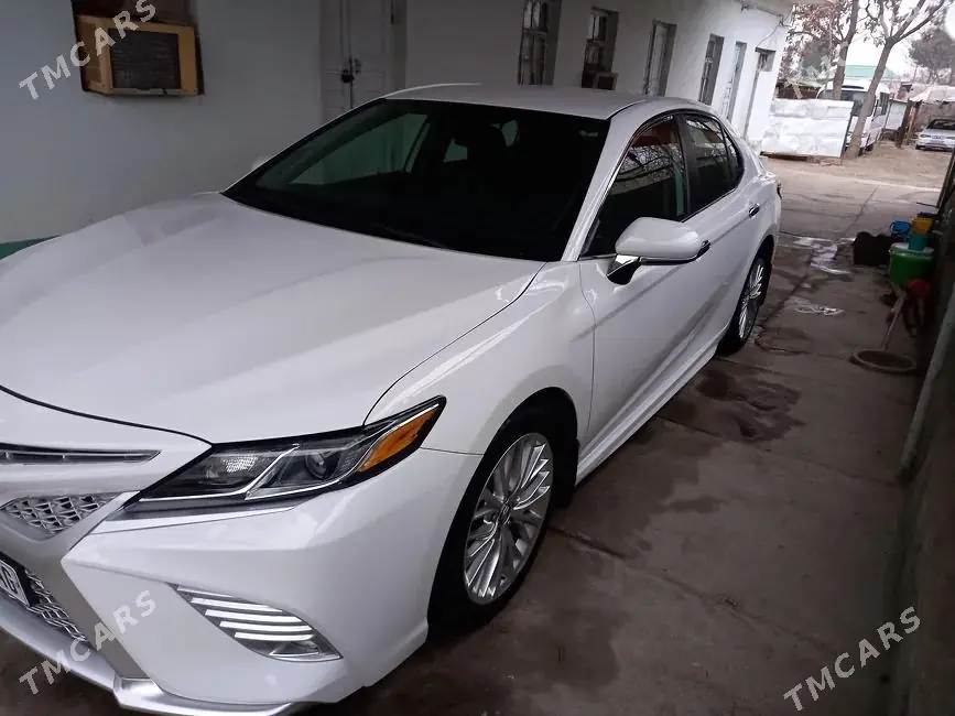 Toyota Camry, 2019 — фото 1