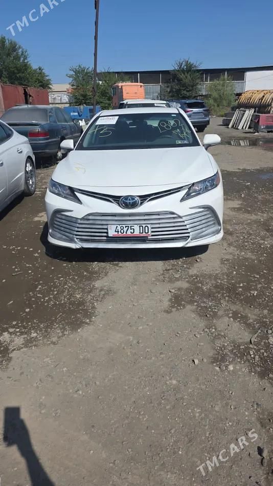 Toyota Camry, 2023