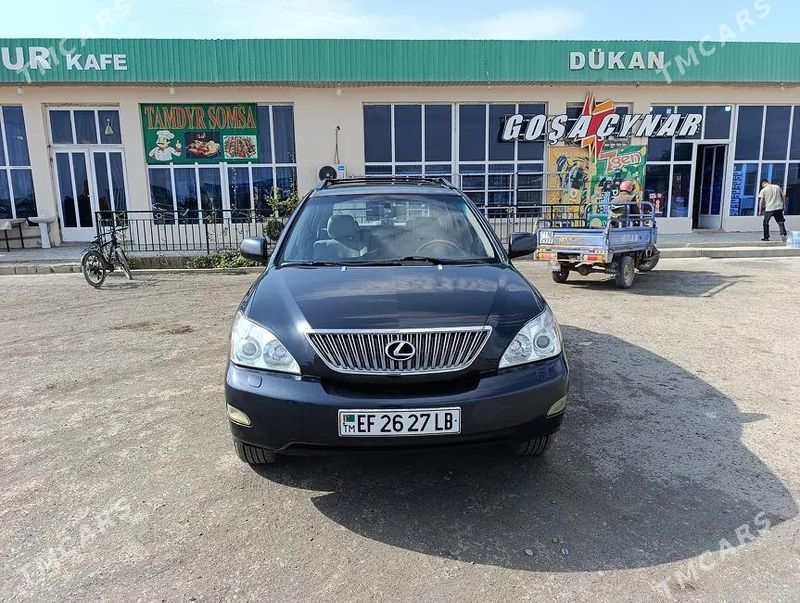 Lexus RX 330, 2005