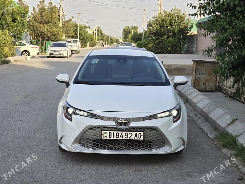 Toyota Corolla, 2019
