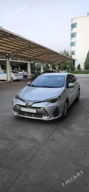 Toyota Corolla, 2018 — фото 1