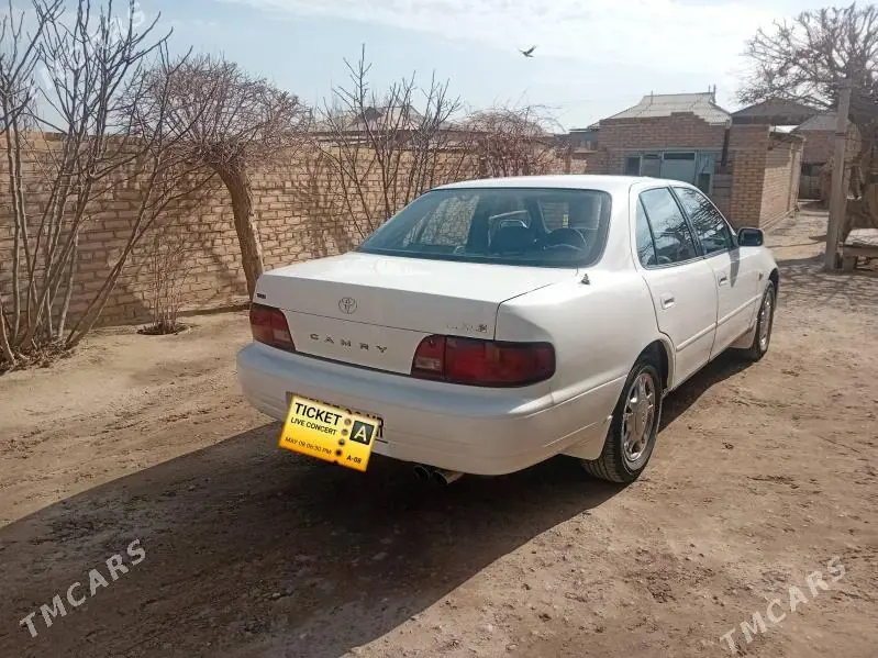 Toyota Camry, 1996 — фото 2
